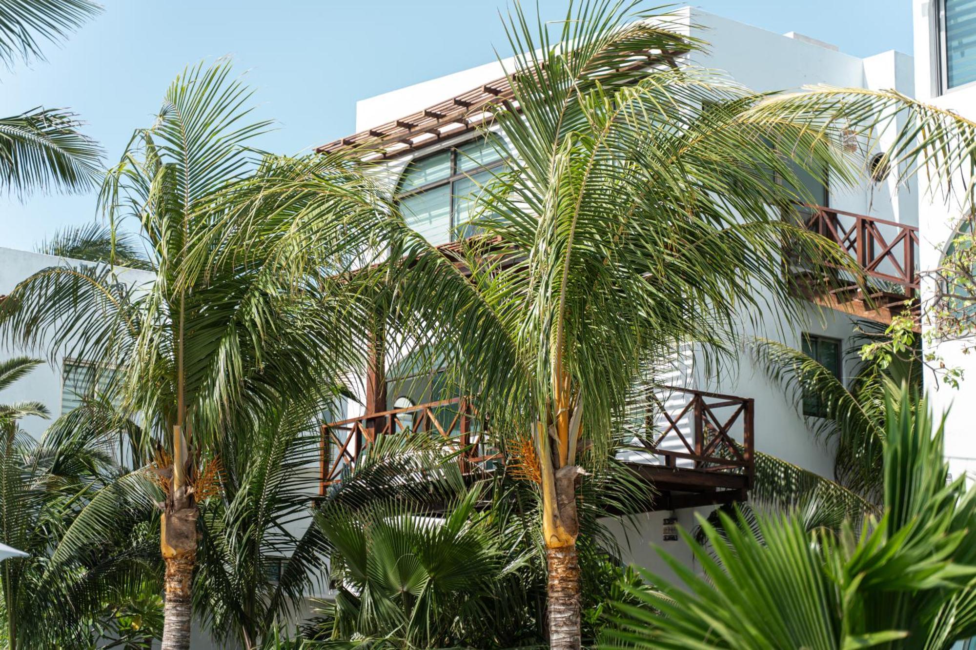 Villas Amanecer By Andiani Travel Isla Mujeres Kültér fotó